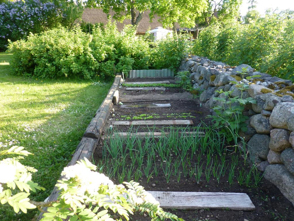 Jurna Recreation Farm Villa Upa Kültér fotó